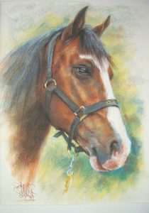 Horse Portrait by Stan Hurr