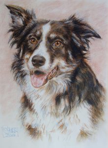 Dog Portrait by Stan Hurr