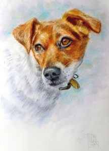 Dog Portrait by Stan Hurr