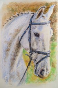 Horse Portrait by Stan Hurr