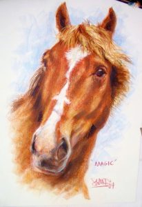 Horse Portrait by Stan Hurr