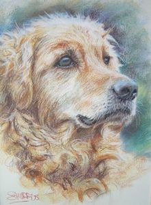 Dog Portrait by Stan Hurr