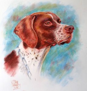 Dog Portrait by Stan Hurr