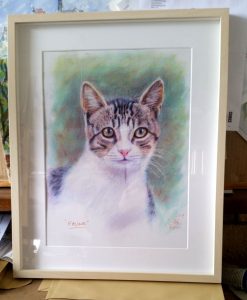 Cat Portrait by Stan Hurr