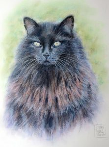 Cat Portrait by Stan Hurr