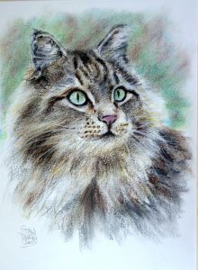 Cat Portrait by Stan Hurr