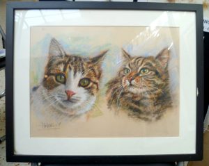 Cat Portrait by Stan Hurr