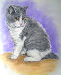 Cat Portrait by Stan Hurr