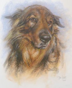 Dog Portrait by Stan Hurr