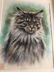 Cat Portrait by Stan Hurr